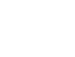 Audi.png