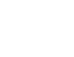 VW.png